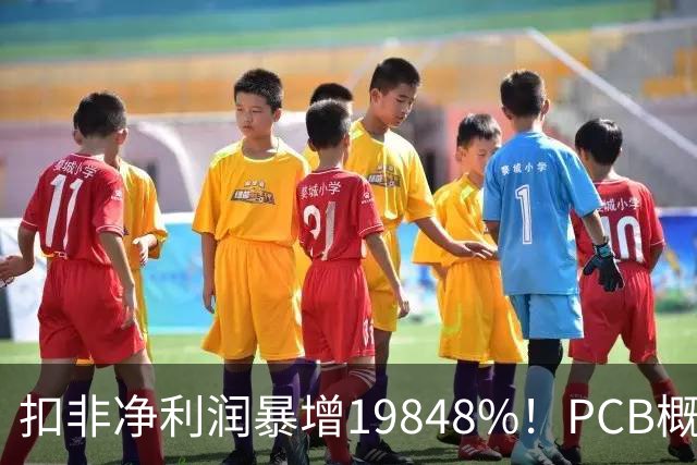 扣非净利润暴增19848%！PCB概念股，前十大股东新增神秘自然人